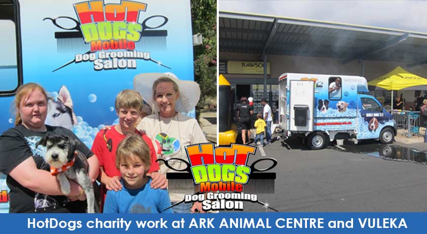 ark animal center