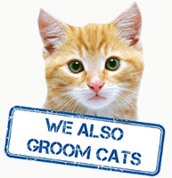 Mobile Dog Grooming in Edenvale & Bedfordview