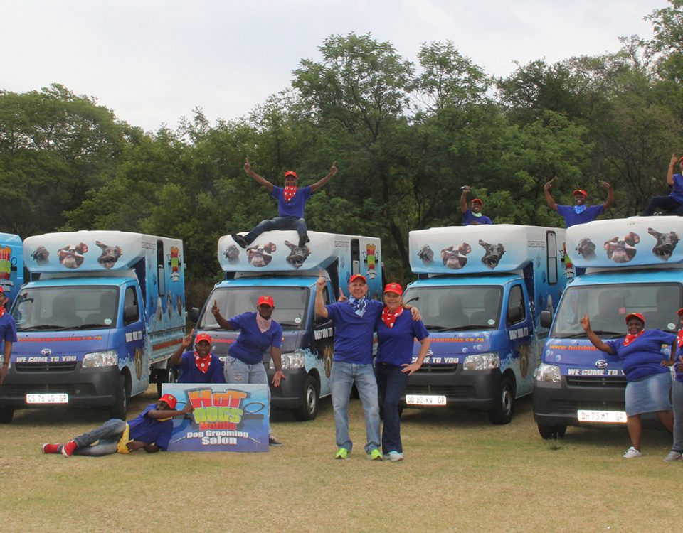 Mobile Pet Grooming Prices in Centurion: What Does Mobile Grooming Cost?